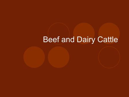 Beef and Dairy Cattle. Objectives: 1.Label the parts of cattle 2.Define key terms associated with cattle 3.Detail the history of cattle 4.Explain the.