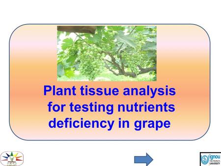 for testing nutrients deficiency in grape