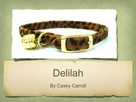 Delilah By Casey Carroll.