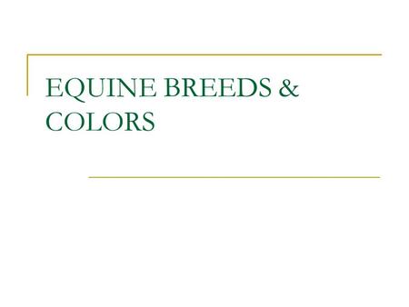 EQUINE BREEDS & COLORS. Palomino Pinto Common Equine Colors Sorrel – Reddish to Copper Red, mane and tail are usually the same color as the body, mane.