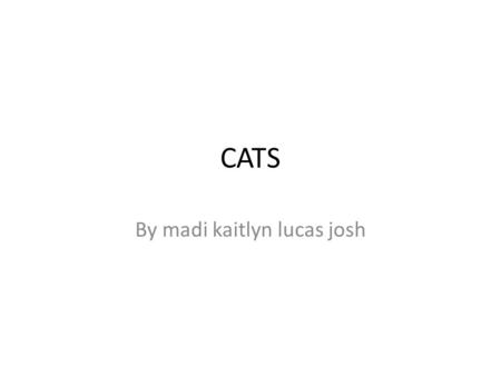 CATS By madi kaitlyn lucas josh. Top 5 Types of cats. Abyssinian Aegean American curl American bobtail American short hair.