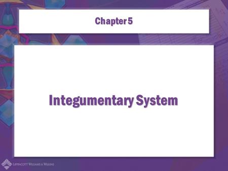 Integumentary System Chapter 5. Combining Forms for the Integumentary System adip/o lip/o steat/o dermo/o dermat/o cutane/o.