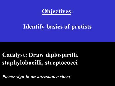 Objectives: Identify basics of protists