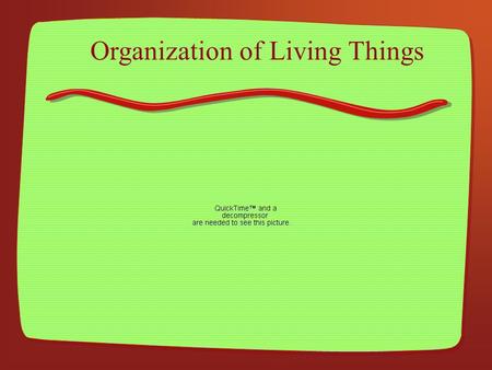 Organization of Living Things. Atom Makes up all living and nonliving things.