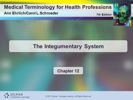 7th Edition Medical Terminology for Health Professions Ann Ehrlich/Carol L.Schroeder © 2013 Delmar, Cengage Learning. All Rights Reserved The Integumentary.