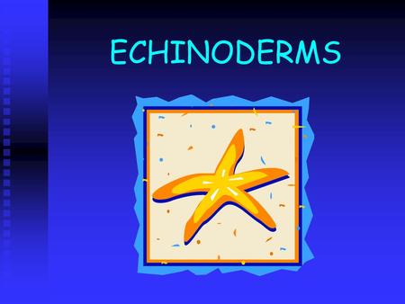 ECHINODERMS.