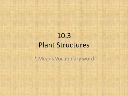 10.3 Plant Structures * Means Vocabulary word. Roots Roots: anchor a plant in the ground, absorb water and minerals from the soil, sometimes store food.