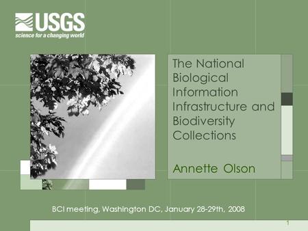 1 The National Biological Information Infrastructure and Biodiversity Collections Annette Olson BCI meeting, Washington DC, January 28-29th, 2008.