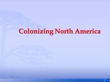 Colonizing North America