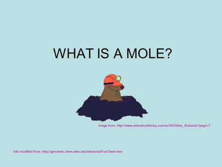 WHAT IS A MOLE? Info modified from:  Image from: