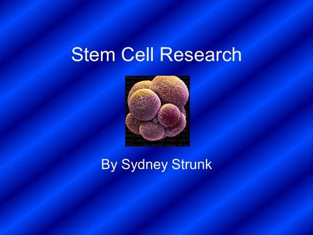 Stem Cell Research By Sydney Strunk. Images of Stem Cells.