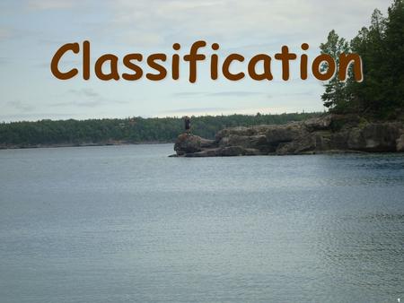 1 Classification. 2 There are 13 billion known species of organisms There are 13 billion known species of organisms This is only 5% of all organisms that.