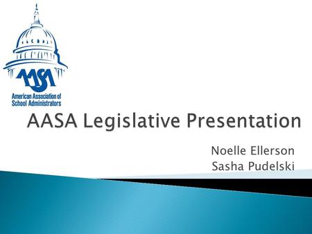 Noelle Ellerson Sasha Pudelski. ◦ FCC’s October point of order adjusted $2.25 billion funding cap to inflation and added dark-fiber to the eligible services.