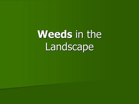 Weeds in the Landscape. WEED LIFE CYCLES Annuals: begin season as seed and finish life cycle in one year Produce massive amounts of seed Produce massive.