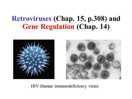 Retroviruses (Chap. 15, p.308) and Gene Regulation (Chap. 14) HIV (human immunodeficiency virus)