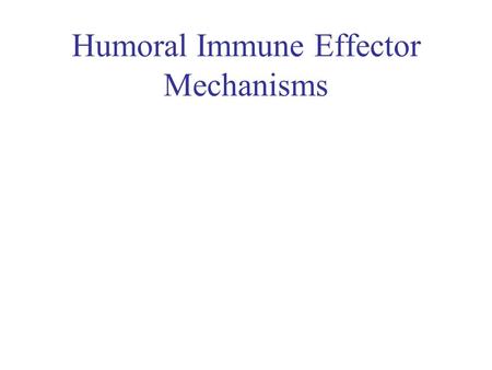 Humoral Immune Effector Mechanisms. Ig of Different Isotypes How do the functional differences impact the immune response ? The focus will be on Ig and.