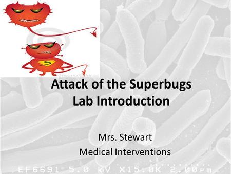 Attack of the Superbugs Lab Introduction Mrs. Stewart Medical Interventions.