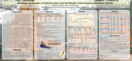 Maize (Zea mays L.) production in northern U.S. Corn Belt area requires hybrids that can efficiently utilize the short growing season. Chase (1964) concluded.