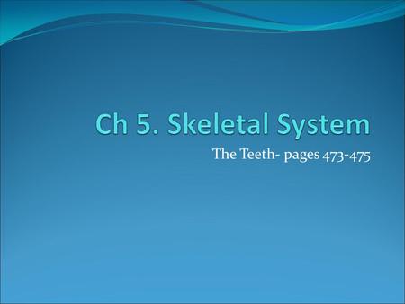 Ch 5. Skeletal System The Teeth- pages 473-475.