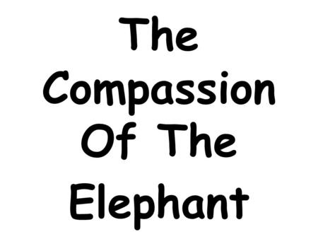 The Compassion Of The Elephant. Once upon a time, there was a forest where there were many animals. An elephant used to live with them.