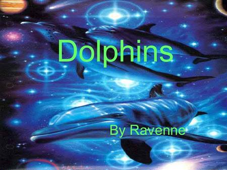 Dolphins By Ravenne Habitat rivers lakes. oceans zoos amusement parks22.