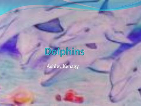 Dolphins Ashley Kenagy.