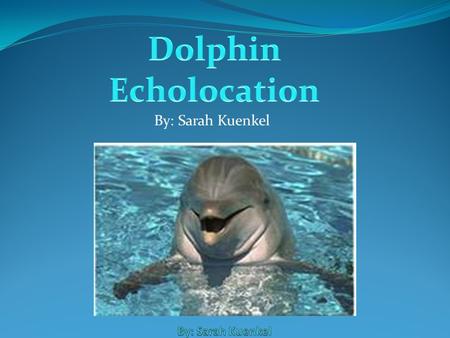 By: Sarah Kuenkel Dolphins’ echolocation is helpful and amazing in many ways. They use echolocation to communicate just like people use words to communicate.