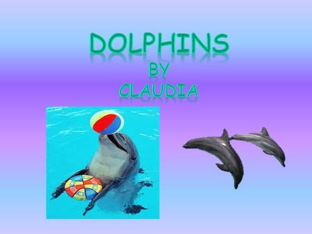 Dolphins by claudia.