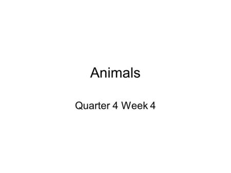 Animals Quarter 4 Week 4. Intro to Animals Multicellular, heterotrophic, eukaryotic organisms. Most have specialization—adaptation of a cell for a particular.