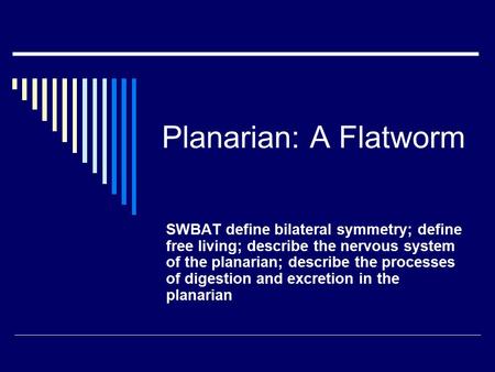 Planarian: A Flatworm SWBAT define bilateral symmetry; define free living; describe the nervous system of the planarian; describe the processes of digestion.