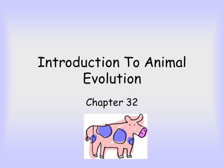 Introduction To Animal Evolution