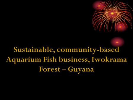 Sustainable, community-based Aquarium Fish business, Iwokrama Forest – Guyana.