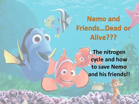 The nitrogen cycle and how to save Nemo and his friends!!