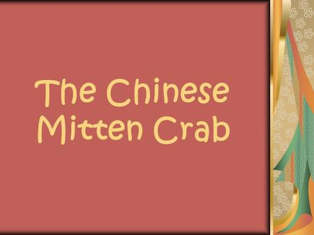 The Chinese Mitten Crab. What is the Mitten Crab? The Chinese mitten crab is found in lakes in Korea or China where they can live as long as five years,