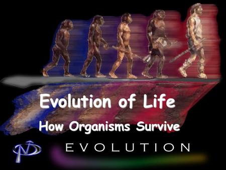 Evolution of Life How Organisms Survive. What Is Necessary To Survive? Variation differentVariation is an appearance of an inherited trait or behavior.