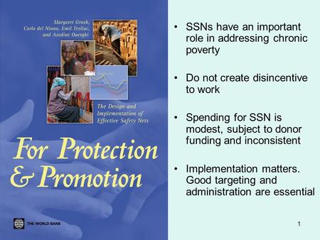 1 SSNs have an important role in addressing chronic poverty Do not create disincentive to work Spending for SSN is modest, subject to donor funding and.