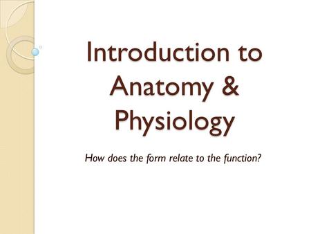 Introduction to Anatomy & Physiology How does the form relate to the function?