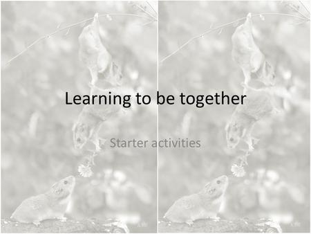 Learning to be together Starter activities.