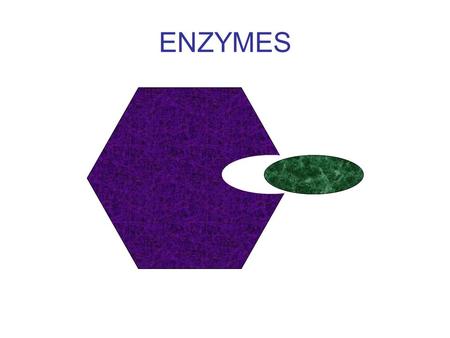 ENZYMES.