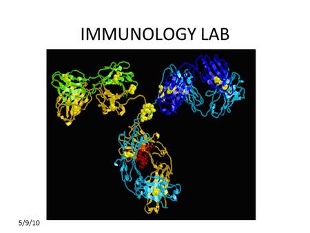 Click to edit Master subtitle style 5/9/10 IMMUNOLOGY LAB.