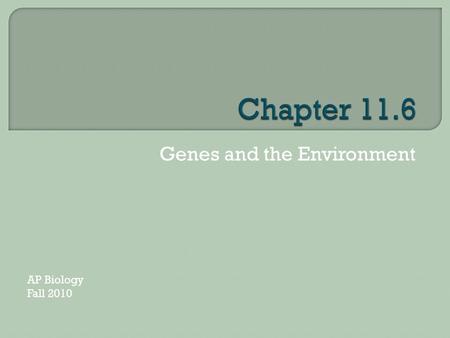 Genes and the Environment AP Biology Fall 2010.  The environment contributes to variations in gene expression amoung individuals in a population.