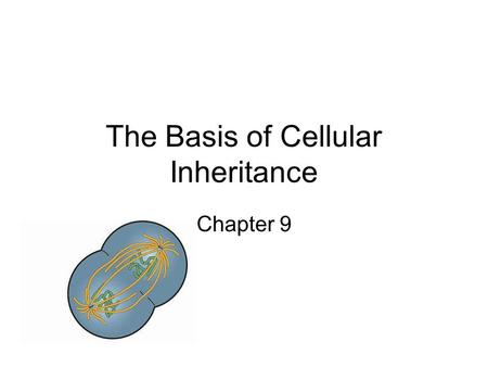 The Basis of Cellular Inheritance Chapter 9. Vocabulary Clarification.