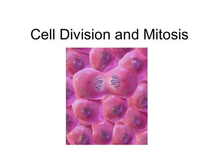 Cell Division and Mitosis