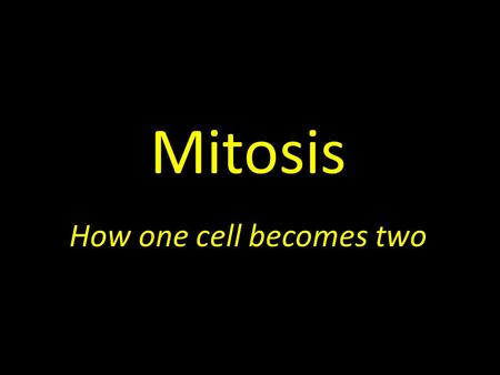 Mitosis How one cell becomes two. What is the purpose of Mitosis ?