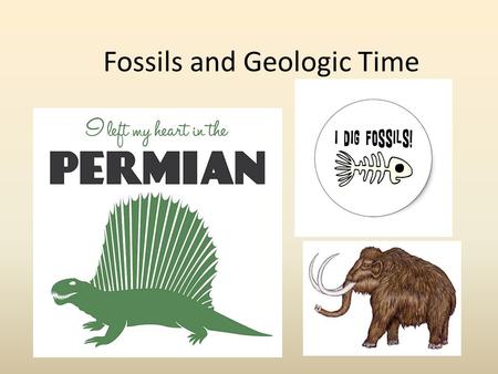 Fossils and Geologic Time