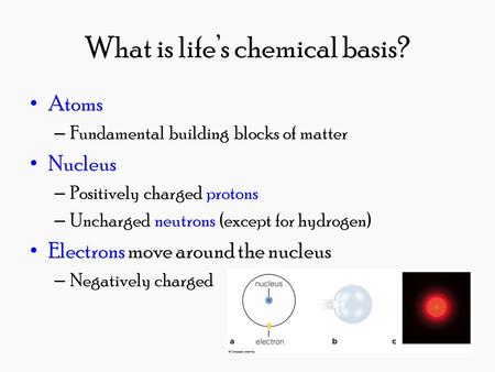 What is life’s chemical basis? Atoms – Fundamental building blocks of matter Nucleus – Positively charged protons – Uncharged neutrons (except for hydrogen)