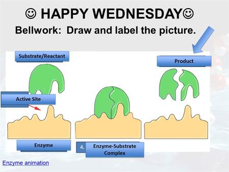 Enzyme animation Bellwork: Draw and label the picture. HAPPY WEDNESDAY 3. ___________ 4. _________________ 2. _____ 5. ___________ 1. ___________ Substrate/Reactant.