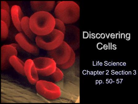 Life Science Chapter 2 Section 3 pp