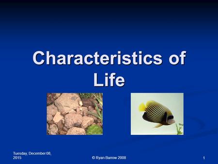 Characteristics of Life Tuesday, December 08, 2015 1 © Ryan Barrow 2008.