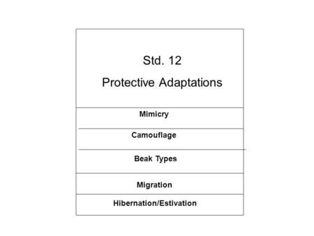 Protective Adaptations